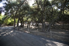 Enlarge photo 244