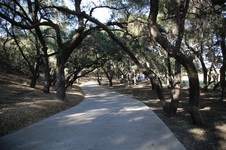 Enlarge photo 248
