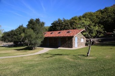 Enlarge photo 256