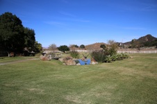 Enlarge photo 264