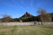 Enlarge photo 273