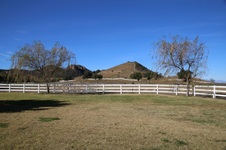 Enlarge photo 274