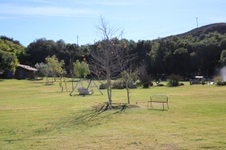 Enlarge photo 275