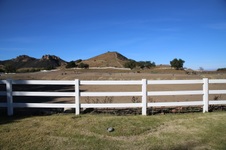 Enlarge photo 276