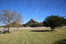 Enlarge photo 277