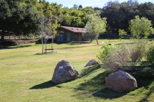 Enlarge photo 279