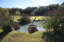 Enlarge photo 280