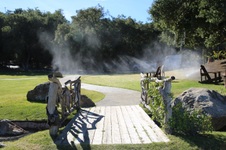 Enlarge photo 281