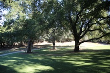 Enlarge photo 293