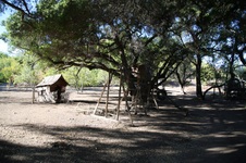 Enlarge photo 295