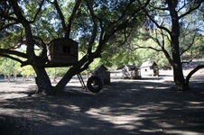 Enlarge photo 297