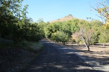Enlarge photo 302