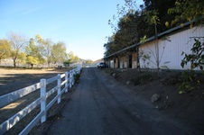 Enlarge photo 304