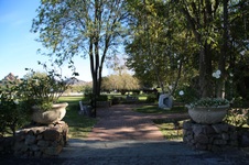 Enlarge photo 312