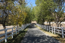 Enlarge photo 313