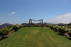Enlarge photo 6