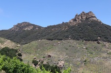 Enlarge photo 8
