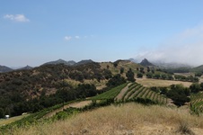 Enlarge photo 9