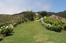 Enlarge photo 10