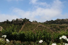 Enlarge photo 12