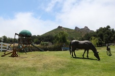 Enlarge photo 24