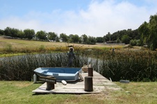 Enlarge photo 25