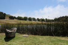 Enlarge photo 26