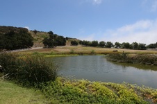 Enlarge photo 27