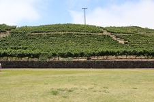 Enlarge photo 36