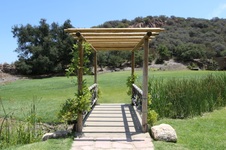 Enlarge photo 39