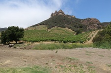 Enlarge photo 41