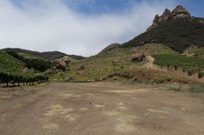 Enlarge photo 44