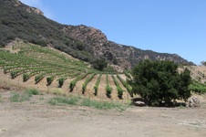 Enlarge photo 46