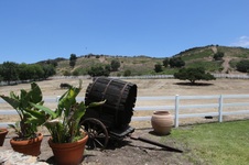Enlarge photo 47