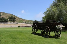 Enlarge photo 52