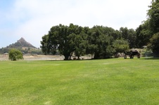 Enlarge photo 54