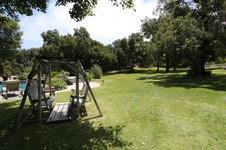 Enlarge photo 58