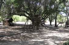 Enlarge photo 62
