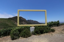 Enlarge photo 66