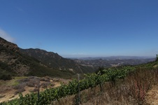 Enlarge photo 67