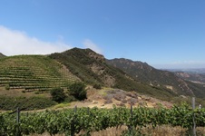 Enlarge photo 68