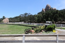 Enlarge photo 71