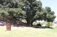 Enlarge photo 74