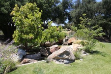 Enlarge photo 77