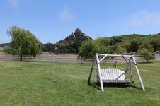 Enlarge photo 79