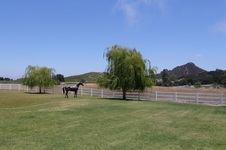 Enlarge photo 80