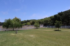 Enlarge photo 81