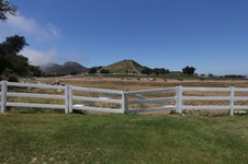Enlarge photo 83