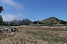 Enlarge photo 85