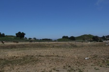 Enlarge photo 87